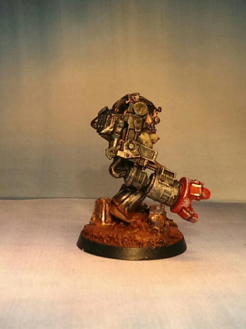 wp-1425648325392 image