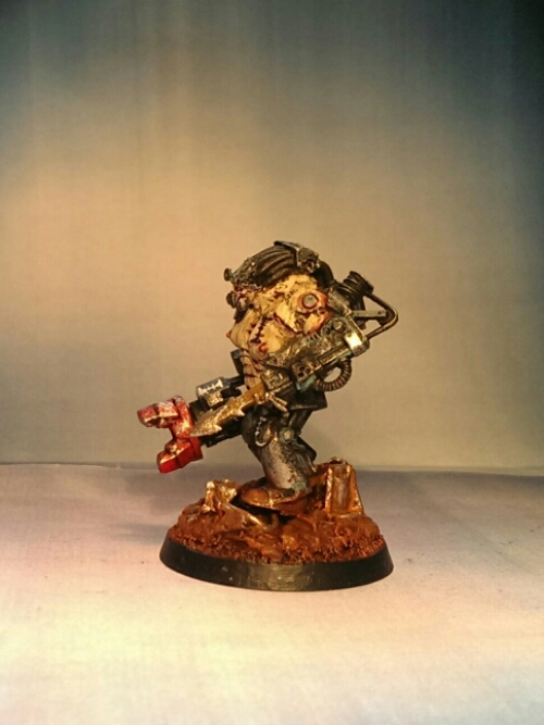 wp-1425648335716 image