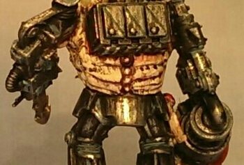 wp-1426745198327 image