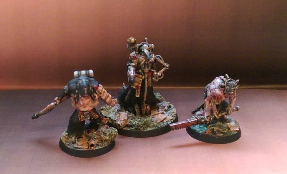 wp-1462862370227 image