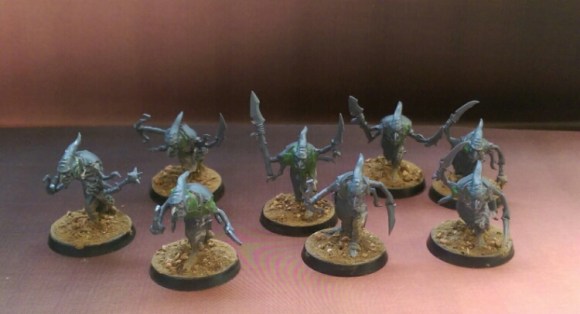 wp-1465189035454 image